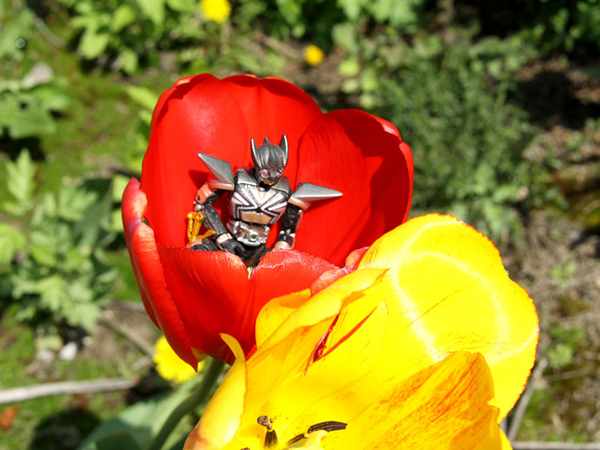 ���ʃ��C�_�[�p���`�z�b�p�[