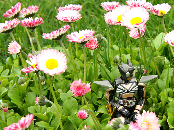 ���ʃ��C�_�[�p���`�z�b�p�[